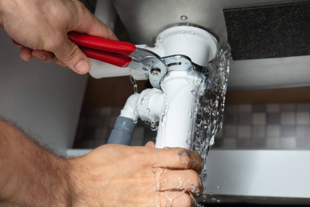 Best Water damage restoration specialists  in Davis Junction, IL