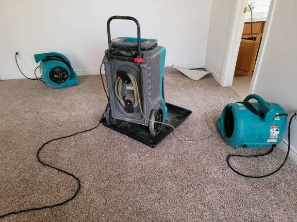 Best Flooded house restoration  in Davis Junction, IL