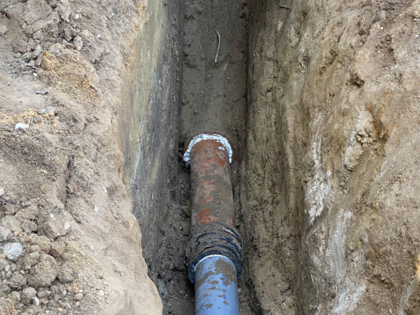Best 24/7 water damage repair  in Davis Junction, IL