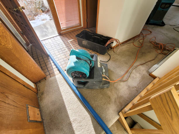 Best Residential water damage restoration  in Davis Junction, IL