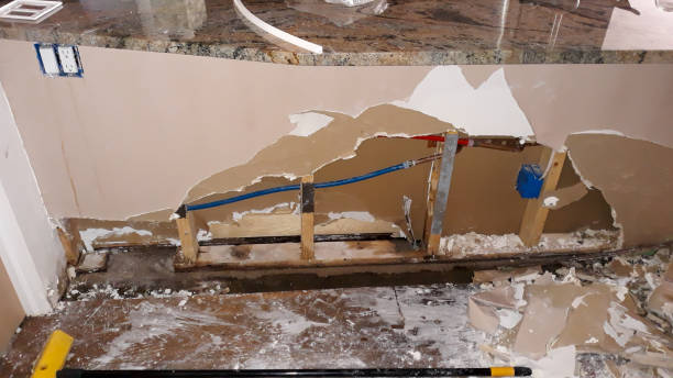 Best Water damage restoration near me  in Davis Junction, IL