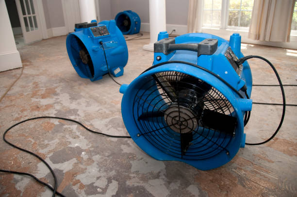 Best Flooded house restoration  in Davis Junction, IL