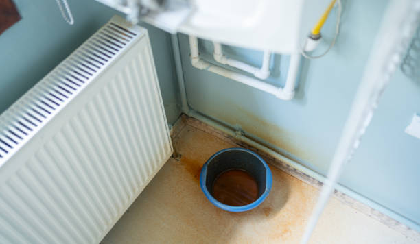 Local water damage restoration in Davis Junction, IL